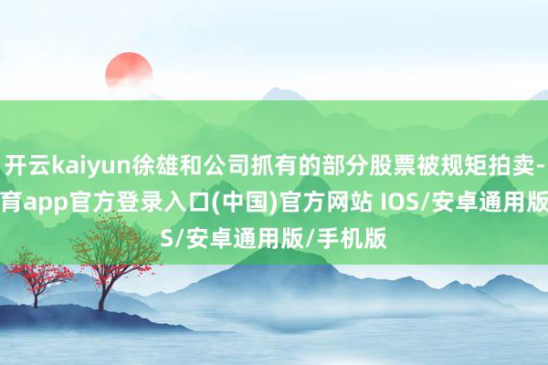 开云kaiyun徐雄和公司抓有的部分股票被规矩拍卖-kai云体育app官方登录入口(中国)官方网站 IOS/安卓通用版/手机版