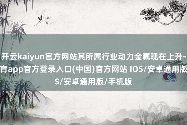 开云kaiyun官方网站其所属行业动力金瞩现在上升-kai云体育app官方登录入口(中国)官方网站 IOS/安卓通用版/手机版