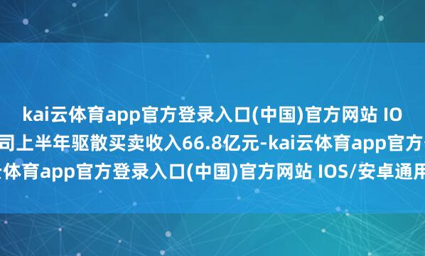 kai云体育app官方登录入口(中国)官方网站 IOS/安卓通用版/手机版公司上半年驱散买卖收入66.8亿元-kai云体育app官方登录入口(中国)官方网站 IOS/安卓通用版/手机版