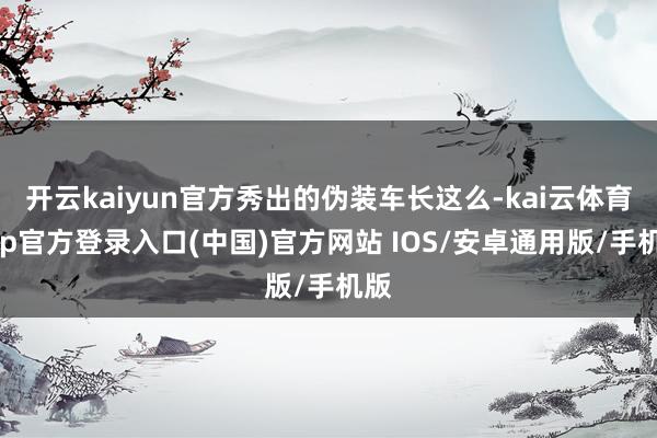 开云kaiyun官方秀出的伪装车长这么-kai云体育app官方登录入口(中国)官方网站 IOS/安卓通用版/手机版