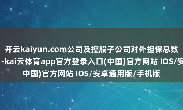 开云kaiyun.com公司及控股子公司对外担保总数为东谈主民币161-kai云体育app官方登录入口(中国)官方网站 IOS/安卓通用版/手机版